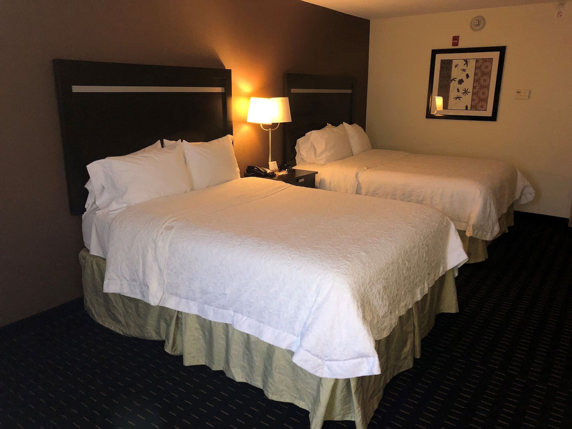 Hampton Inn Jericho - Westbury Εξωτερικό φωτογραφία